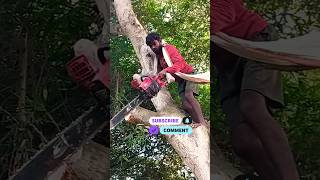 Amazing Fast Ped Kaatne Wali Machine Extreme Efficient Tree Cutting [upl. by Natanoj]