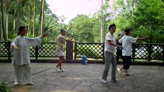 Tai chi 108 front view Part 1 [upl. by Lawry]