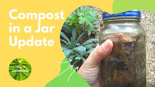 Compost in a Jar Update [upl. by Ackler]