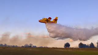 Incendie  Canadairs en action Pignan Hérault France [upl. by Cyma]