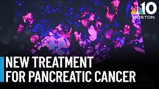 New pancreatic cancer treatment developed at UMass [upl. by Devlen]