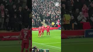 🇨🇴 Liverpool players celebrate Luis Diazs goal vs Leverkusen [upl. by Tatianna377]