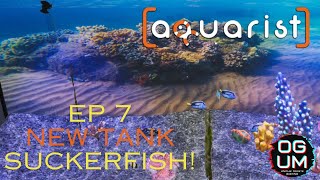 Aquarist Ep 7 Suckerfish [upl. by Atazroglam926]