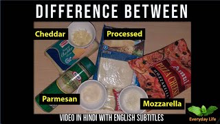 Difference bw Mozzarella Processed Cheddar amp Parmesan Cheese  चीज़ के प्रकार  Everyday LIfe 47 [upl. by Aleit962]