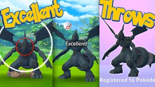 ZEKROM Excellent Throws EVERY TIME How To Excellent Throws When Catching ZEKROM  Pokémon Go [upl. by Vtarj]