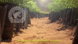 Unilever Food Solutions  Lipton Rainforest Alliance [upl. by Niveb]