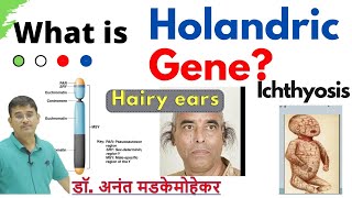 Holandric Inheritance  Holandric genes  Holandric Characters Genes on Y chromosome [upl. by Wisnicki]