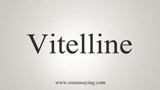 How To Say Vitelline [upl. by Linnell]