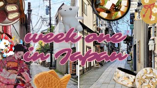 japan daily vlog 🍡 hanging out in niigata city [upl. by Emelda]