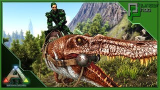 Spawn Every Kibble  ARK Survival Evolved [upl. by Eartnoed]