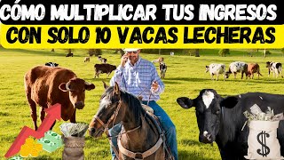 Cómo Multiplicar tus Ingresos con Solo 10 Vacas Lecheras [upl. by Terrance]