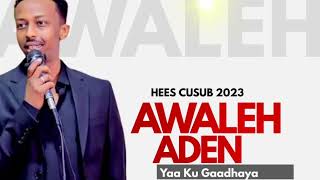 Awale Aden Ya Ku Gaadhaya 2023 [upl. by Krahmer]