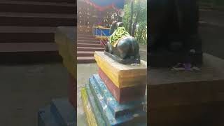 Shiva Shambhu Satyam Shivam like video [upl. by Aitropal]