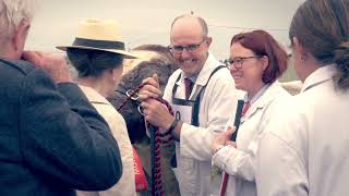 Great Yorkshire Show 2022  Tuesday Highlights [upl. by Sorrows512]