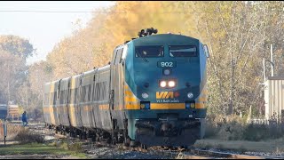 VIA Rail 72 902 ChathamKent On Oct 22 24 [upl. by Airebma826]