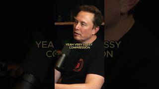 Elon Musk on the Complexity of Human Communication [upl. by Sardse440]