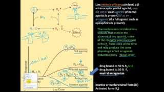 Pharm2  ED50 LD50 Therapeutic index margin of safety partial amp full agonist [upl. by Marielle771]