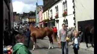 Ballabuidhe Horse Fair Dunmanway 2009 [upl. by Atokad]