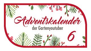 6 🎅🏻 Adventskalender der Gartenyoutuber 🎄 Adventskalendergartenyoutuber2017 🎁 Nikolaus [upl. by Ragas688]