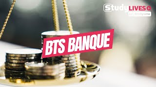 Tout savoir sur le BTS Banque  conseiller clientèle [upl. by Ecinhoj]