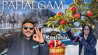 Pahalgam Full day Tour  Amarnath Yatra Base Camp  Apple Garden amp Bajrangi Bhaijaan Shoot Location [upl. by Ednihek]