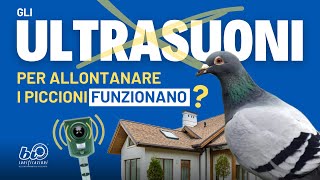 Ultrasuoni per Piccioni Funzionano [upl. by Tiffi]