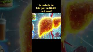 La minute La maladie du foie gras ou NASH cest quoi  shorts santé nutrition inflammation [upl. by Quirk222]