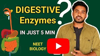 Digestive enzymes  in hindi  digestion and absorption Human physiology  neet2020 biology [upl. by Temme]