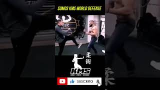 Wing Chun  Golpes Secos [upl. by Platus]