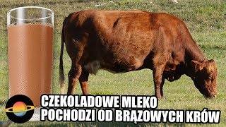 10 dziwnych rzeczy w które wierzą Amerykanie [upl. by Craner]