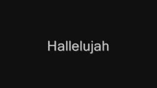 John Cale  Hallelujah Lyrics best version [upl. by Peskoff]