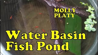 Water Basin Fish Pond [upl. by Aved794]