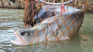 Unique Underwater Fishing  Best Fish Catching  Best Fishing Video [upl. by Atnovart]