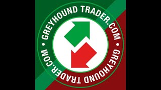 Greyhound Trader Towcester PreDerby Sales 2024 [upl. by Adnohsed364]