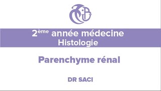 2ème année médecine Histologie Parenchyme rénal [upl. by Syned594]