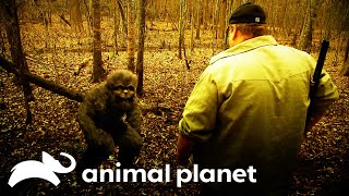 Finding Evidence of ADOLESCENT Bigfoots in Texas  Finding Bigfoot  Animal Planet [upl. by Aneeuq]