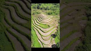 Beautiful Banaue Rice Terraces Called as Eighth Wonder of the World explore philippines subscribe [upl. by Azne155]