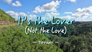 ITS THE LOVER NOT THE LOVE  Karaoke Version  in the style of Tiffany [upl. by Amitarp]