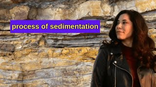 process of sedimentation  formation of process of sedimentation  types of process of sedimentation [upl. by Airebma495]