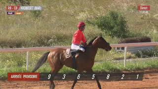 Live Hippodrome « KHEMISSET »  Courses du « 16042024 » [upl. by Eudo]