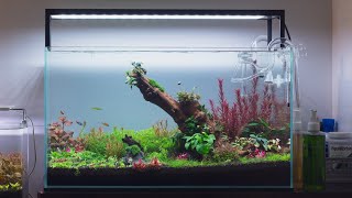 Rescaping My Aquarium  தமிழ் [upl. by Onileva999]