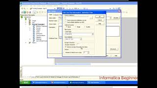 Video 3 Informatica Tutorial Source and Target Instances [upl. by Odnumyar888]