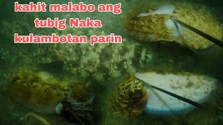 EP179 kahit malabo ang tubig Naka kulambotan parin night sperfishing philippines [upl. by Calypso]