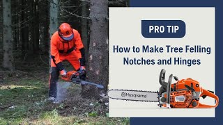 How To Make Tree Felling Notches And Hinges With A Chainsaw  Husqvarna [upl. by Aleak]