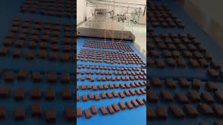 wafer enrobing machine NJ Machinerychocolate enrobingcoating line njmachinery chocolateenrobing [upl. by Brown]