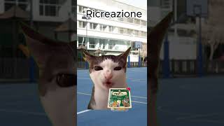 gatto a scuola [upl. by Yrrum]