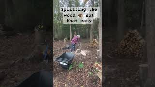 Splitting the wood 🪵 in the backyard woods woodsplitting splittingwood wood woodworking [upl. by Eidoj]