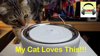 ASMR Unboxing of PETKIT Eversweet 3 Smart Drinking Fountain in 4K [upl. by Enyalaj]