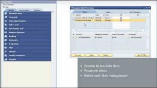 SAP Business One Product Demo  Financials and Accounting [upl. by Irabaj]