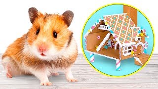 DIY Maison en pain dépices pour hamster  Bricolage avec du carton [upl. by Aenaj20]